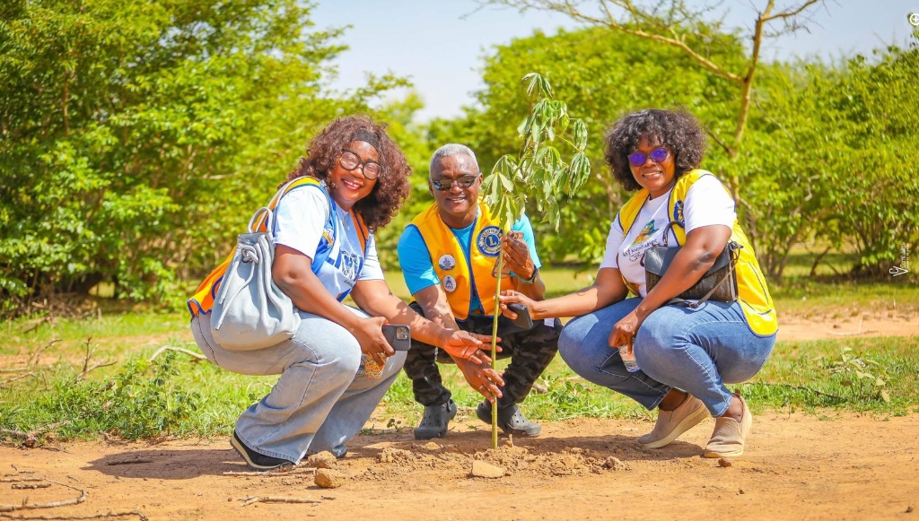 Plantation Lions